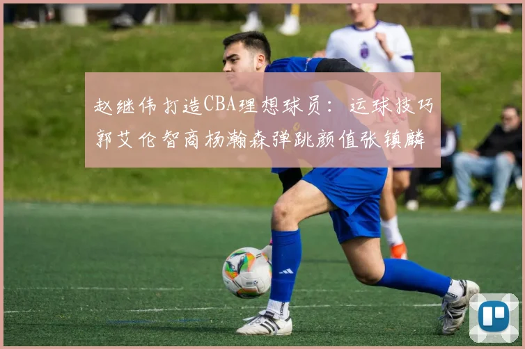 赵继伟打造CBA理想球员：运球技巧郭艾伦智商杨瀚森弹跳颜值张镇麟完美结合